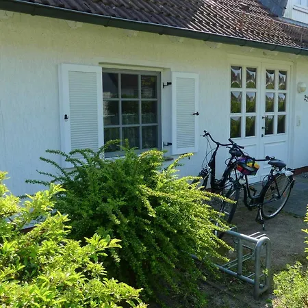 Homestay 